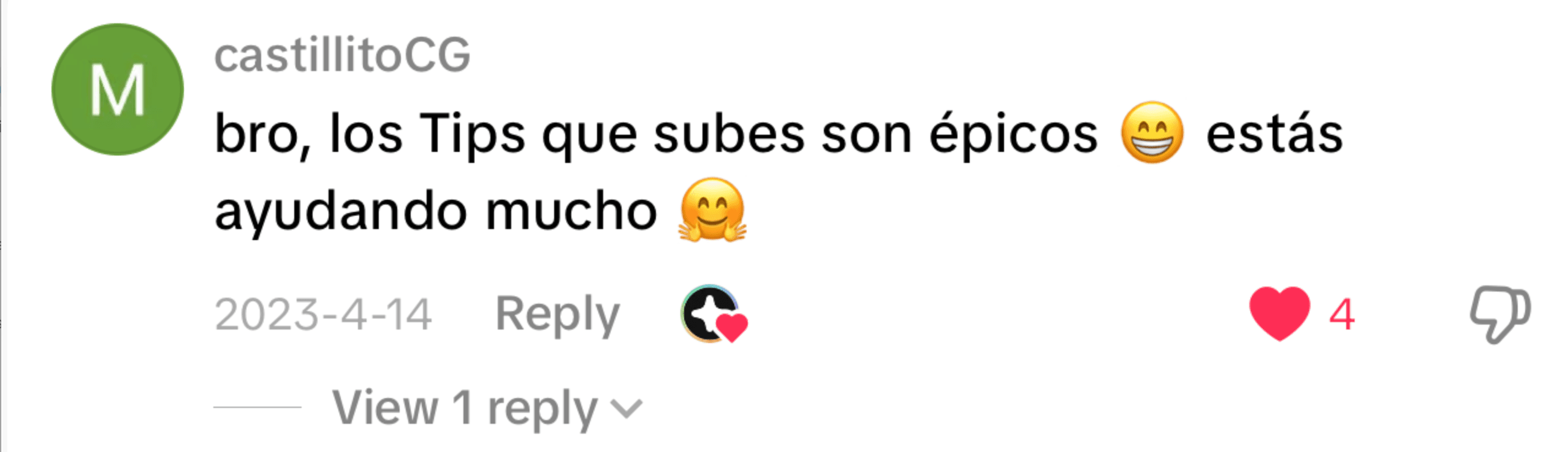Comentario de castillitoCG